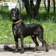 THEO Moloseum 2,5 roku