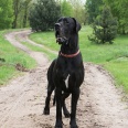 THEO Moloseum 2,5 roku